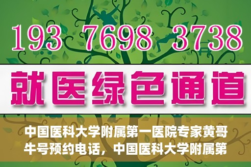 中国医科大学附属第一医院专家黄哥牛号预约电话，中国医科大学附属第一医院黄哥牛专家预约电话及挂号攻略