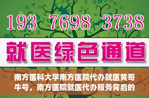 南方医科大学南方医院代办就医黄哥牛号，南方医院就医代办服务背后的故事，黄哥牛号引领就医新风尚
