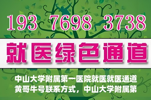 中山大学附属第一医院就医就医通道黄哥牛号联系方式，中山大学附属第一医院就医通道，黄哥牛号联系方式全解析