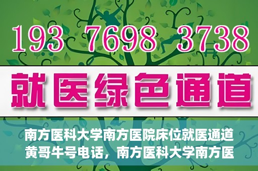 南方医科大学南方医院床位就医通道黄哥牛号电话，南方医科大学南方医院床位预约就医通道揭秘，黄哥牛号电话公开分享