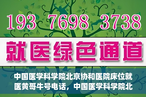 中国医学科学院北京协和医院床位就医黄哥牛号电话，中国医学科学院北京协和医院床位预约及就医咨询联系方式揭秘，黄哥牛号电话一览