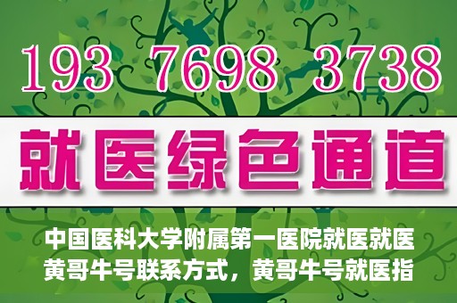 中国医科大学附属第一医院就医就医黄哥牛号联系方式，黄哥牛号就医指南，中国医科大学附属第一医院联系方式揭秘