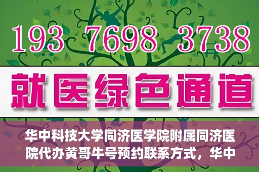 华中科技大学同济医学院附属同济医院代办黄哥牛号预约联系方式，华中科技大学同济医院黄哥牛号预约联系方式及代办服务解析