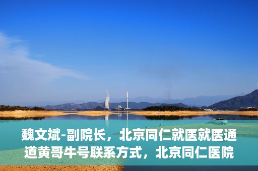 魏文斌-副院长，北京同仁就医就医通道黄哥牛号联系方式，北京同仁医院副院长魏文斌与就医通道，黄哥牛号联系方式揭秘