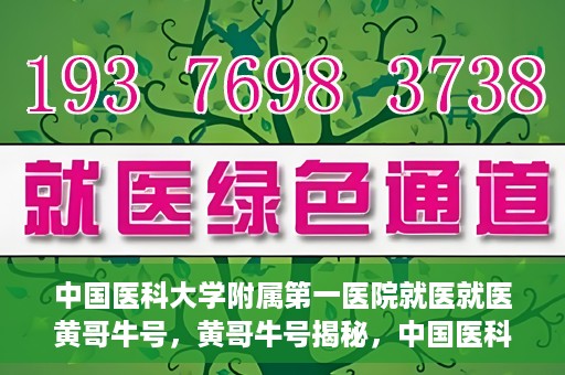 中国医科大学附属第一医院就医就医黄哥牛号，黄哥牛号揭秘，中国医科大学附属第一医院就医攻略与体验分享