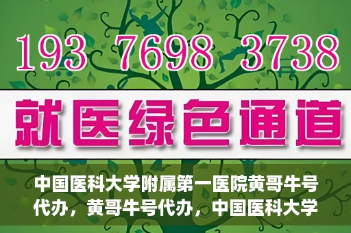 中国医科大学附属第一医院黄哥牛号代办，黄哥牛号代办，中国医科大学附属第一医院挂号服务新动向