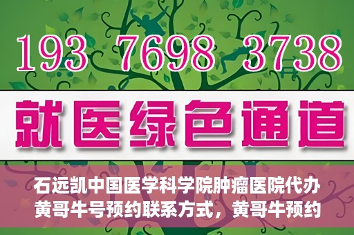石远凯中国医学科学院肿瘤医院代办黄哥牛号预约联系方式，黄哥牛预约挂号联系方式，石远凯教授在中国医学科学院肿瘤医院的服务指南