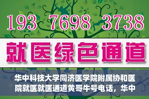 华中科技大学同济医学院附属协和医院就医就医通道黄哥牛号电话，华中科技大学同济医学院附属协和医院就医通道详解，黄哥牛号电话一键通预约就医服务