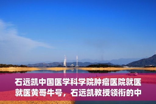 石远凯中国医学科学院肿瘤医院就医就医黄哥牛号，石远凯教授领衔的中国医学科学院肿瘤医院就医攻略，黄哥牛号助您轻松挂号就医