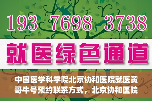 中国医学科学院北京协和医院就医黄哥牛号预约联系方式，北京协和医院黄哥牛号预约挂号联系方式揭秘，权威医学专家预约攻略