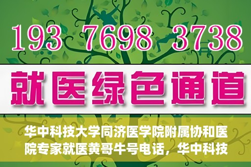 华中科技大学同济医学院附属协和医院专家就医黄哥牛号电话，华中科技大学同济医学院附属协和医院专家黄哥牛号电话就医指南