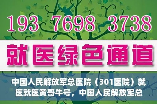中国人民解放军总医院（301医院）就医就医黄哥牛号，中国人民解放军总医院（301医院）黄哥牛号就医攻略