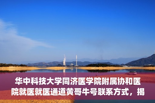华中科技大学同济医学院附属协和医院就医就医通道黄哥牛号联系方式，揭秘华中科技大学同济医学院附属协和医院就医通道，黄哥牛号联系方式全解析