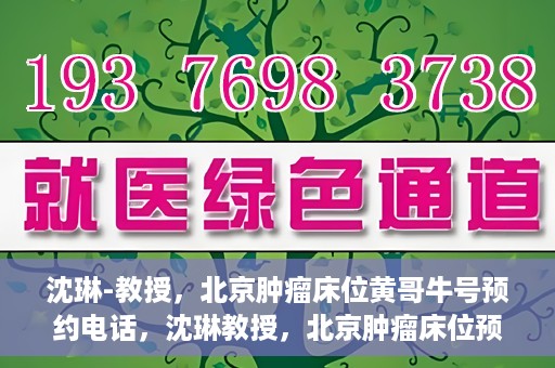 沈琳-教授，北京肿瘤床位黄哥牛号预约电话，沈琳教授，北京肿瘤床位预约热线及黄哥牛号攻略揭秘