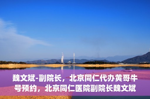 魏文斌-副院长，北京同仁代办黄哥牛号预约，北京同仁医院副院长魏文斌揭秘，黄哥牛号预约代办背后的故事