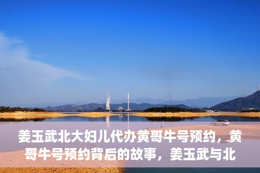姜玉武北大妇儿代办黄哥牛号预约，黄哥牛号预约背后的故事，姜玉武与北大妇儿的医疗接力