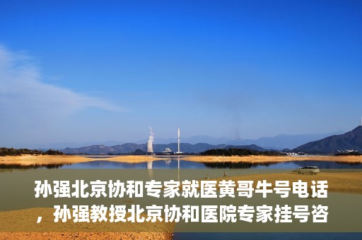孙强北京协和专家就医黄哥牛号电话，孙强教授北京协和医院专家挂号咨询热线——黄哥牛号电话揭秘