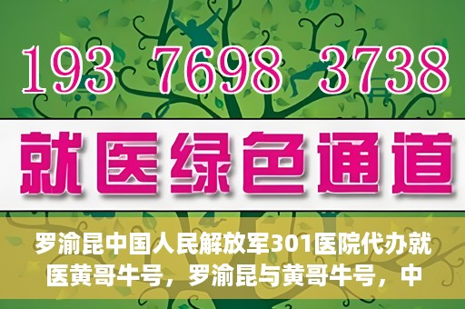 罗渝昆中国人民解放军301医院代办就医黄哥牛号，罗渝昆与黄哥牛号，中国人民解放军301医院就医代办服务解析