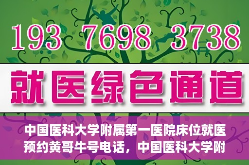 中国医科大学附属第一医院床位就医预约黄哥牛号电话，中国医科大学附属第一医院床位预约就医电话黄哥牛号详解