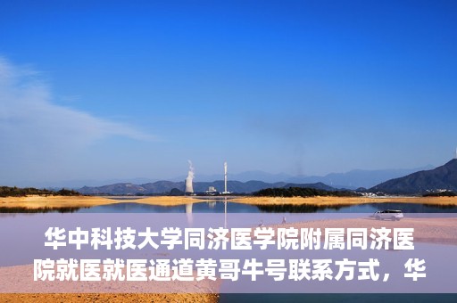 华中科技大学同济医学院附属同济医院就医就医通道黄哥牛号联系方式，华中科技大学同济医院就医通道详解，黄哥牛号联系方式揭秘