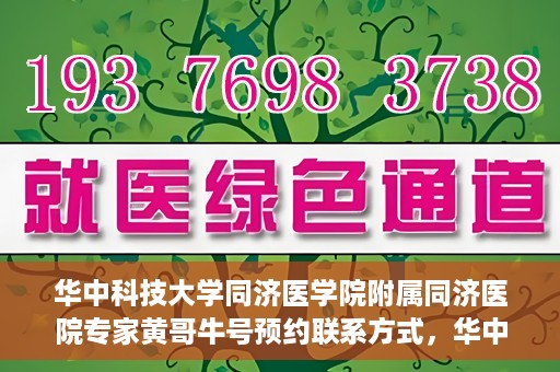 华中科技大学同济医学院附属同济医院专家黄哥牛号预约联系方式，华中科技大学同济医院黄哥牛专家号预约指南及联系方式