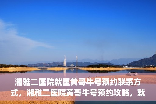 湘雅二医院就医黄哥牛号预约联系方式，湘雅二医院黄哥牛号预约攻略，就医联系方式全解析