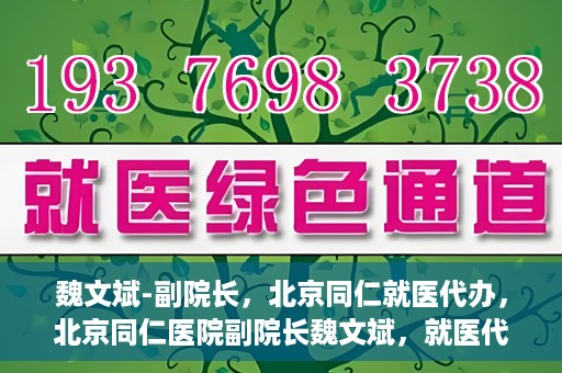 魏文斌-副院长，北京同仁就医代办，北京同仁医院副院长魏文斌，就医代办的专业解读与实践