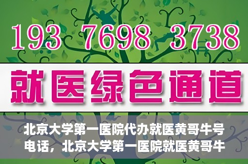 北京大学第一医院代办就医黄哥牛号电话，北京大学第一医院就医黄哥牛号代办服务电话揭秘