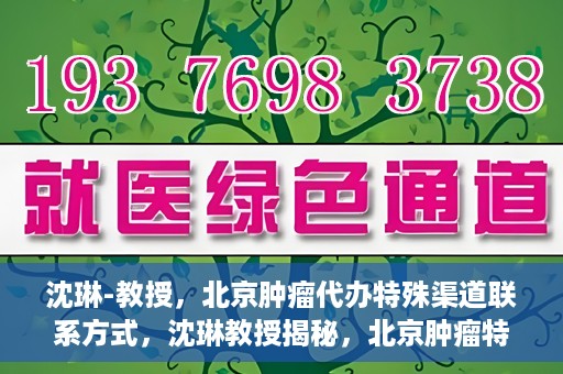 沈琳-教授，北京肿瘤代办特殊渠道联系方式，沈琳教授揭秘，北京肿瘤特殊渠道联系方式揭秘