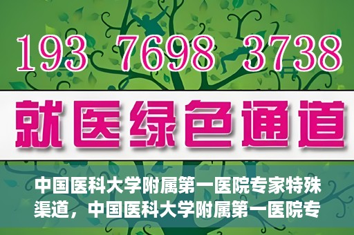 中国医科大学附属第一医院专家特殊渠道，中国医科大学附属第一医院专家特殊渠道揭秘，权威医疗资源的背后故事