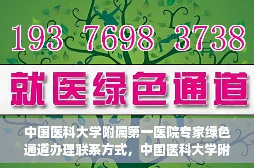 中国医科大学附属第一医院专家绿色通道办理联系方式，中国医科大学附属第一医院专家绿色通道联系指南，一站式解决您的健康需求！