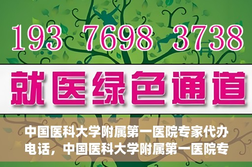中国医科大学附属第一医院专家代办电话，中国医科大学附属第一医院专家电话代办服务详解