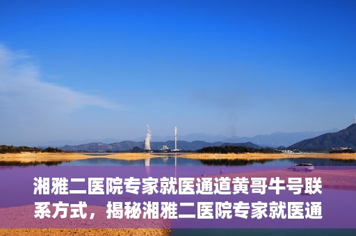 湘雅二医院专家就医通道黄哥牛号联系方式，揭秘湘雅二医院专家就医通道，黄哥牛号联系方式及专家服务详解