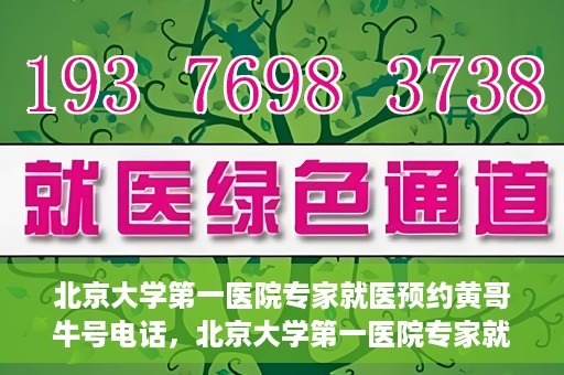 北京大学第一医院专家就医预约黄哥牛号电话，北京大学第一医院专家就医预约热线黄哥牛号电话全攻略