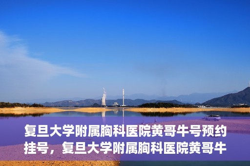 复旦大学附属胸科医院黄哥牛号预约挂号，复旦大学附属胸科医院黄哥牛号预约挂号指南，轻松掌握预约挂号秘籍！