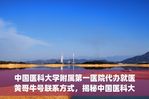 中国医科大学附属第一医院代办就医黄哥牛号联系方式，揭秘中国医科大学附属第一医院代办就医联系人黄哥牛号联系方式，专业服务的背后故事