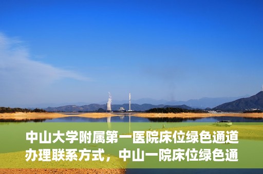 中山大学附属第一医院床位绿色通道办理联系方式，中山一院床位绿色通道办理指南，快速联系方法与流程解析