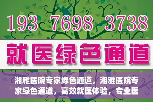 湘雅医院专家绿色通道，湘雅医院专家绿色通道，高效就医体验，专业医疗服务的快速通道