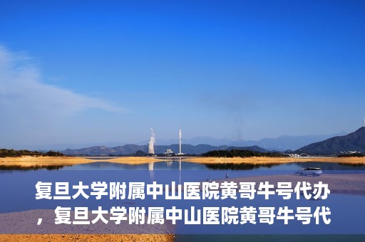 复旦大学附属中山医院黄哥牛号代办，复旦大学附属中山医院黄哥牛号代办，权威医疗资源的深度解读与便捷服务体验