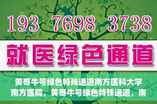 黄哥牛号绿色特殊通道南方医科大学南方医院，黄哥牛号绿色特殊通道，南方医科大学南方医院的探索与实践