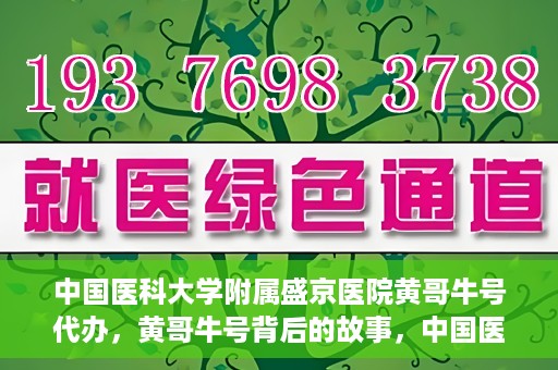 中国医科大学附属盛京医院黄哥牛号代办，黄哥牛号背后的故事，中国医科大学附属盛京医院的信赖之选
