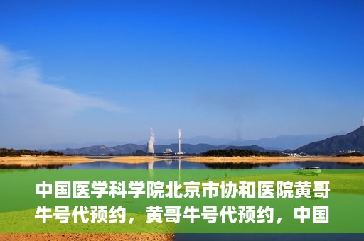 中国医学科学院北京市协和医院黄哥牛号代预约，黄哥牛号代预约，中国医学科学院北京市协和医院挂号新途径探索