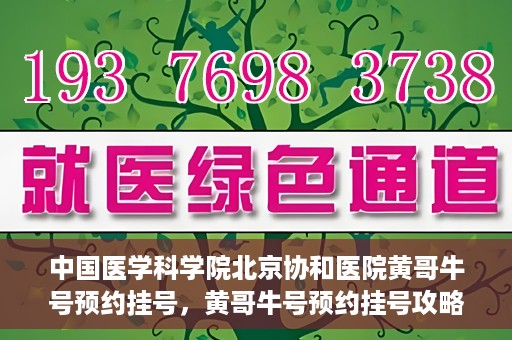 中国医学科学院北京协和医院黄哥牛号预约挂号，黄哥牛号预约挂号攻略，中国医学科学院北京协和医院就医指南