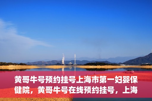 黄哥牛号预约挂号上海市第一妇婴保健院，黄哥牛号在线预约挂号，上海市第一妇婴保健院的便捷就医之旅