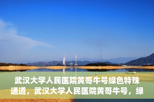 武汉大学人民医院黄哥牛号绿色特殊通道，武汉大学人民医院黄哥牛号，绿色特殊通道开启