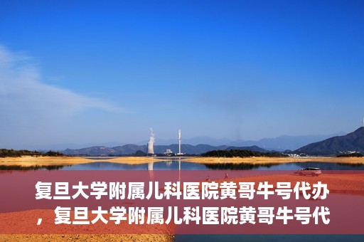 复旦大学附属儿科医院黄哥牛号代办，复旦大学附属儿科医院黄哥牛号代办，一站式服务详解