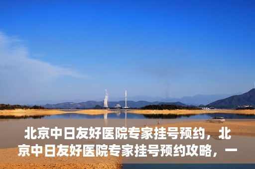北京中日友好医院专家挂号预约，北京中日友好医院专家挂号预约攻略，一站式解决您的就医难题