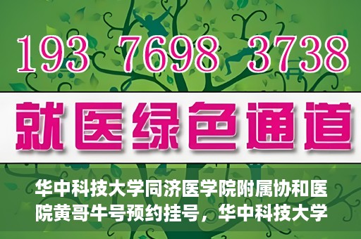 华中科技大学同济医学院附属协和医院黄哥牛号预约挂号，华中科技大学同济医学院附属协和医院黄哥牛号预约挂号攻略解析