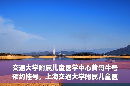 交通大学附属儿童医学中心黄哥牛号预约挂号，上海交通大学附属儿童医学中心黄哥牛专家预约挂号攻略