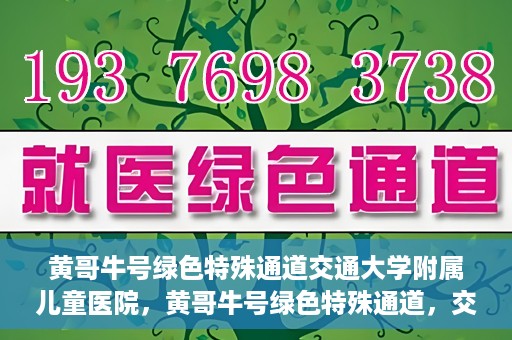黄哥牛号绿色特殊通道交通大学附属儿童医院，黄哥牛号绿色特殊通道，交通大学附属儿童医院的探索与实践